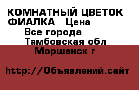 КОМНАТНЫЙ ЦВЕТОК -ФИАЛКА › Цена ­ 1 500 - Все города  »    . Тамбовская обл.,Моршанск г.